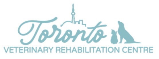 Toronto Veterinary Rehabilitation Centre.jpeg