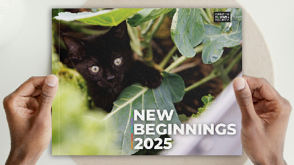 Click here for more information about 2025 New Beginnings Calendar