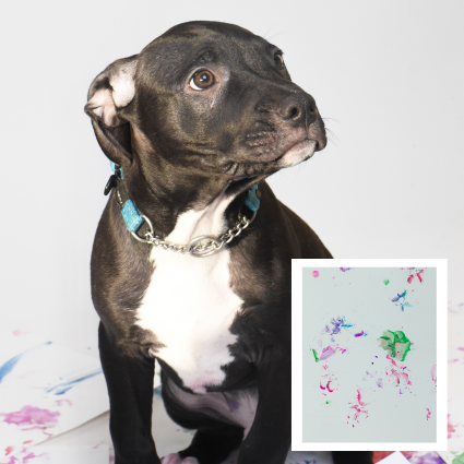 Click here for more information about Puppy Art Bundle by Fruit Loops