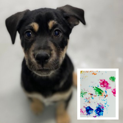 Click here for more information about Puppy Art Bundle by Samba